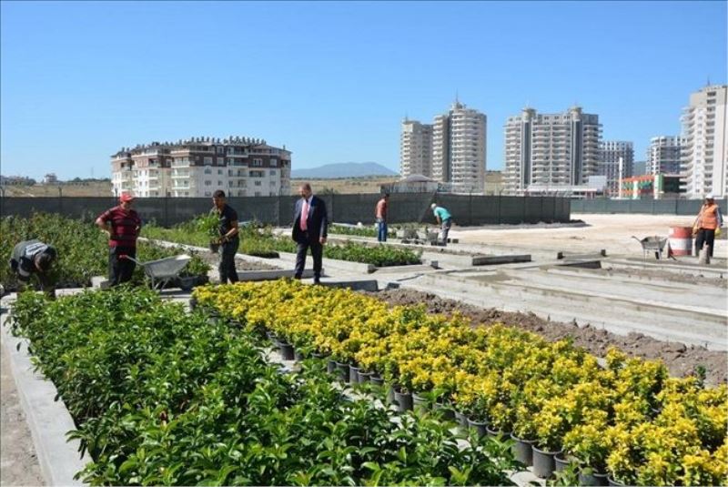 Belediyeden ´bitki üretim merkezi´
