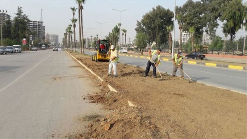 İskenderun´da budama ve çiçeklendirme