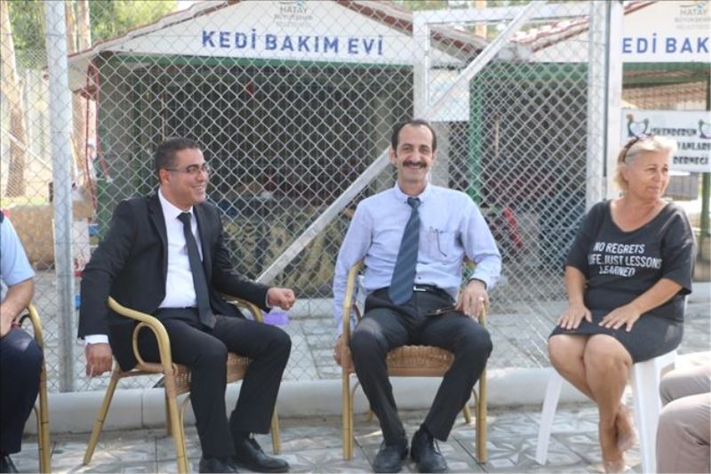 ´Kedi Evi´nde yapım incelemesi