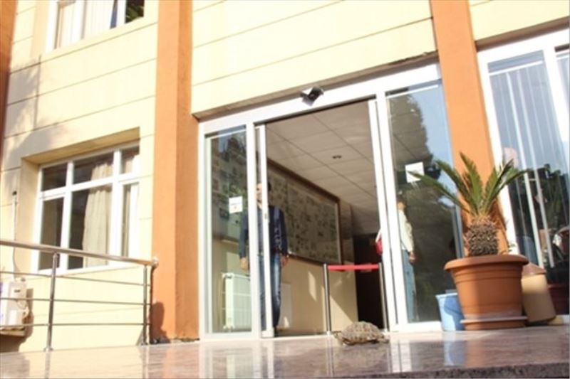 Kaplumbağa, belediyenin kapısında