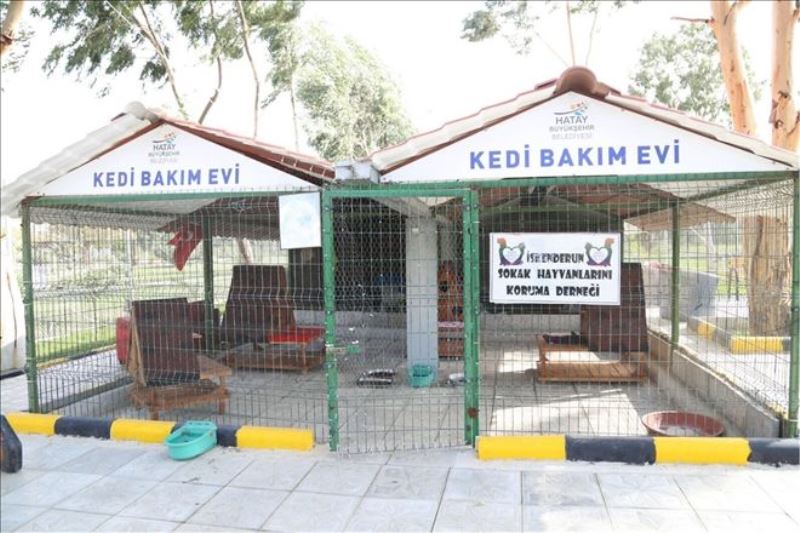 Kedi Evi açıldı