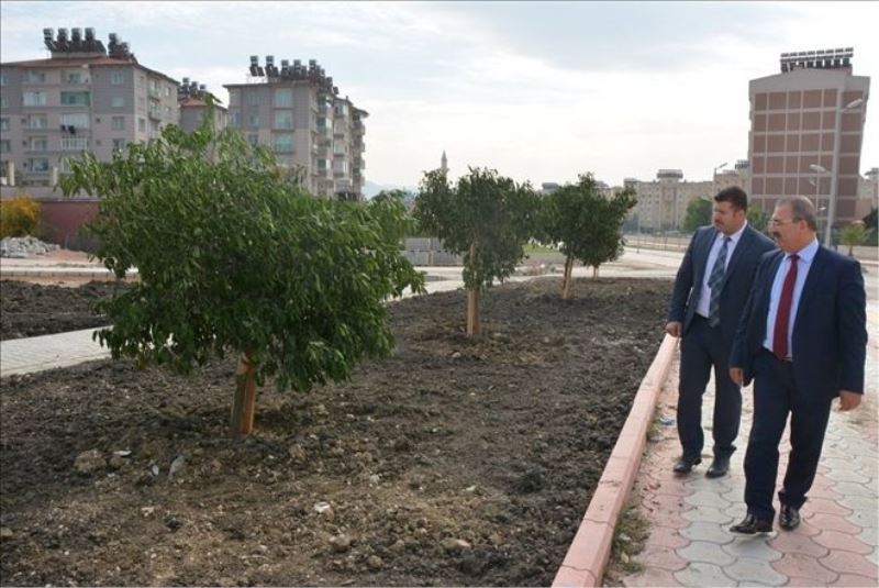 Ağaçlandırma çalışmalarını inceledi