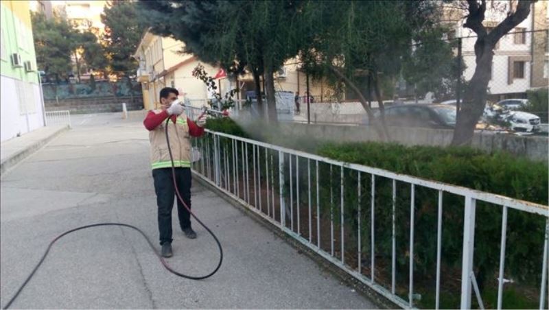 ´Yeşil sinekle´ mücadele