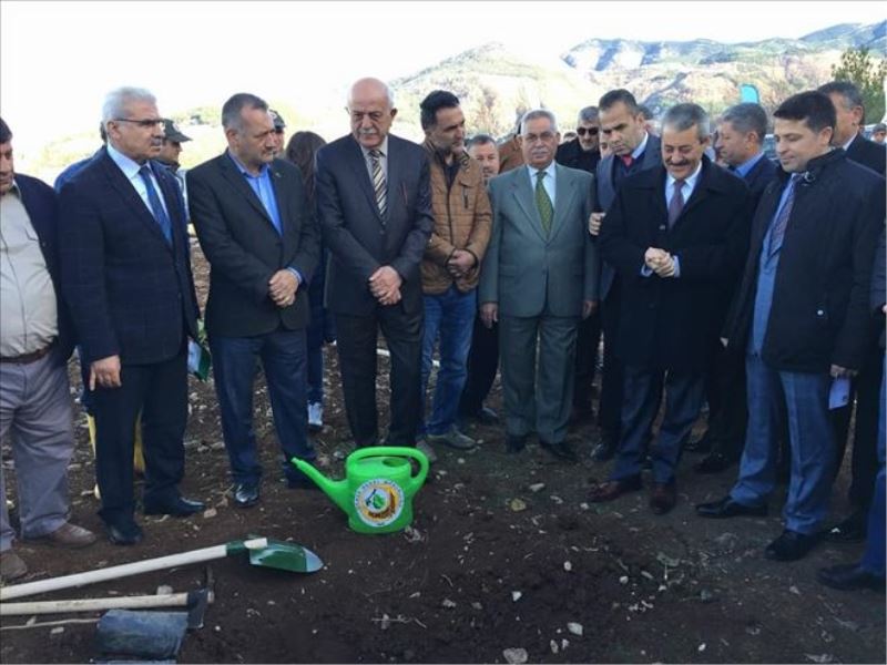 6.500 fidan ekildi