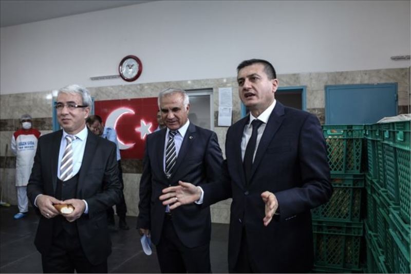 Mahkumlar led lamba ve ekmek üretiyor  
