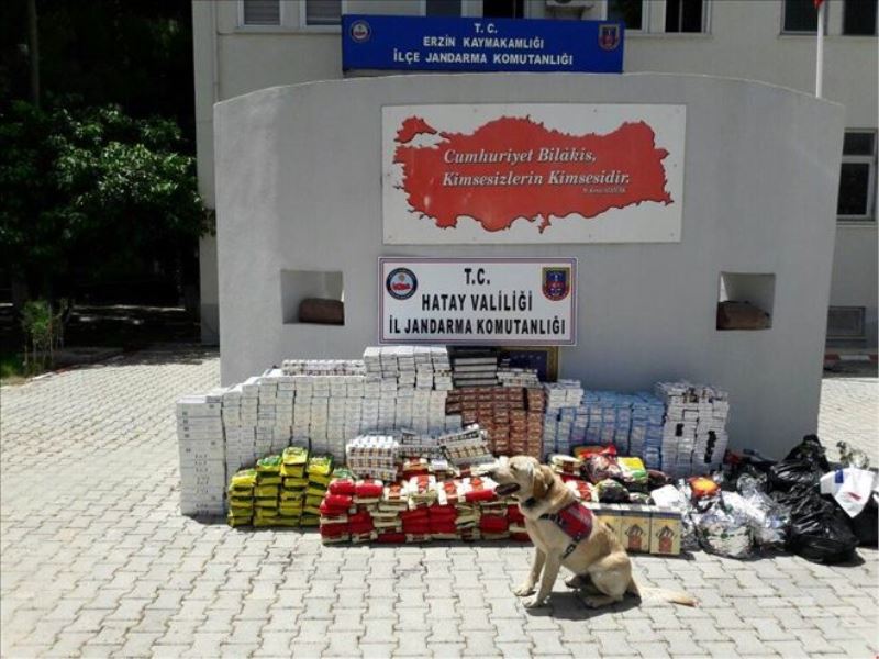 5 kilo esrara baskın