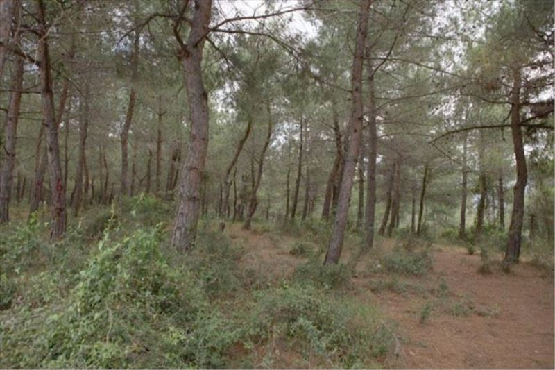 ÇED raporları gerçekçi hazırlansın