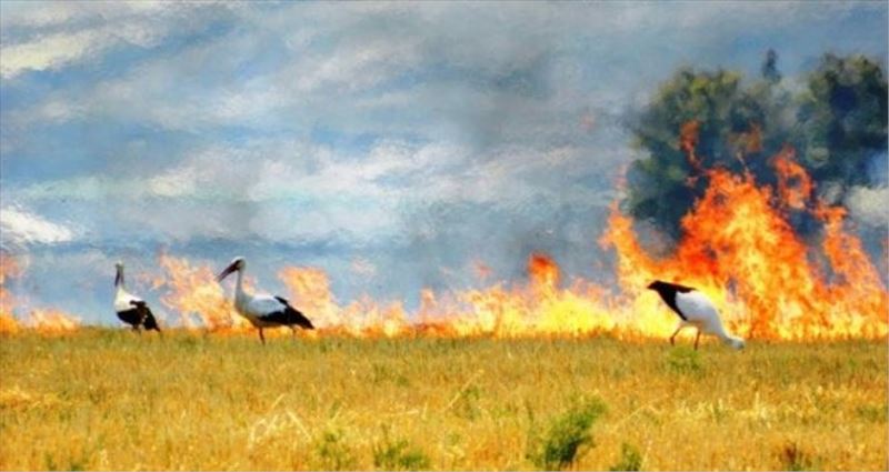 Anız yakılması, toprak kaybı nedeni