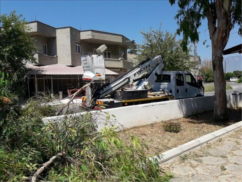 Budama diye başladılar…