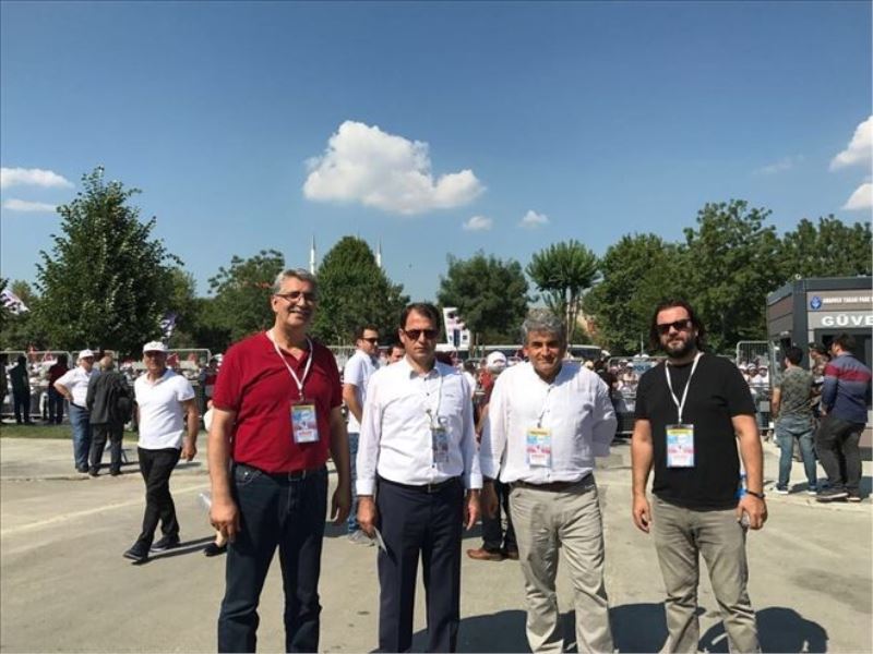 Yaman: Yeni umut filizleri yeşerdi