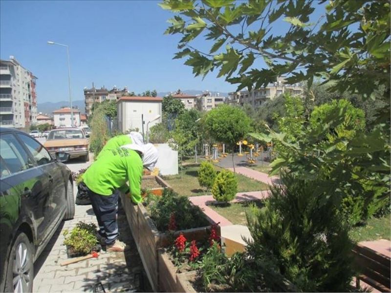 Yaz çiçekleri kenti süslüyor