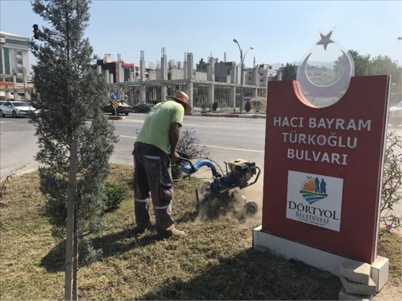 Dörtyol´u çiçekle renklendirdiler