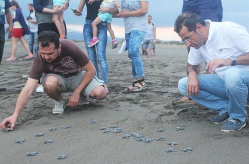 Ambalaj atığına dolanmış bulundu