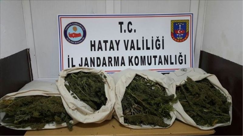 Uyuşturucu operasyonu  