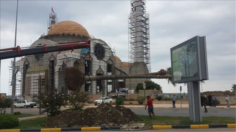 134 palmiye yeni yerinde