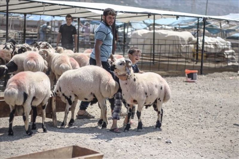 Çocuklar kurban kesimini görmeli mi?