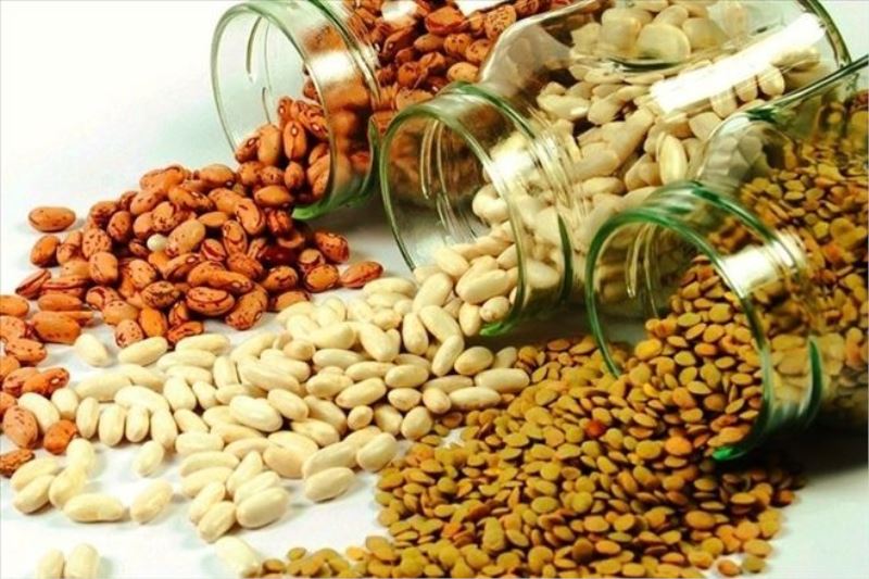 En çok bakliyat ihracatı AKİB üyelerinden