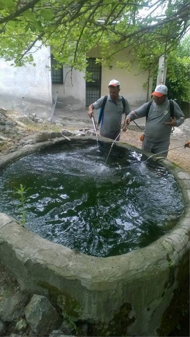 Ekipler sivrisinek üreme alanlarına yoğunlaştı