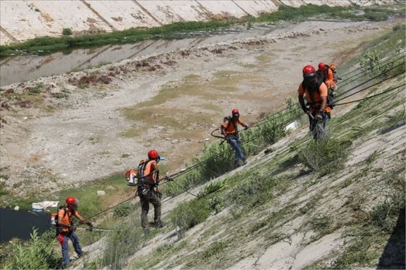 Asi Nehri temizleniyor