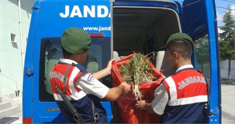 Üç kentte uyuşturucu operasyonu