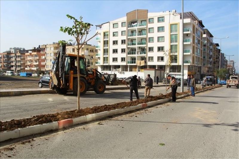Mahalle yollarına ağaçlandırma