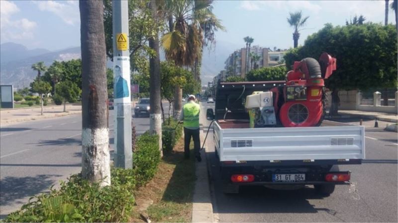 Yeşil alanlar ilaçlanıyor
