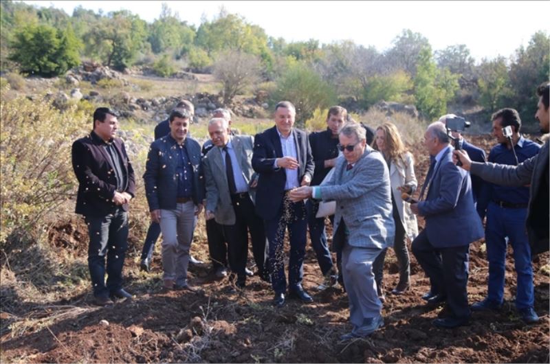 HBB yerli tohum üretecek