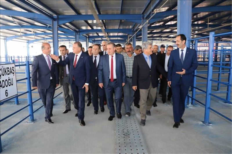 Canlı Hayvan Pazarı Entegre Mezbahanesi açıldı