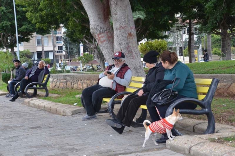 Yönetmelik, kediye de ağızlık istiyor