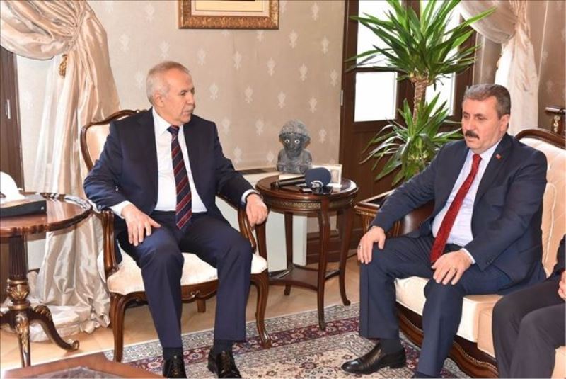 Destici: Zeytin Dalı, en büyük operasyon