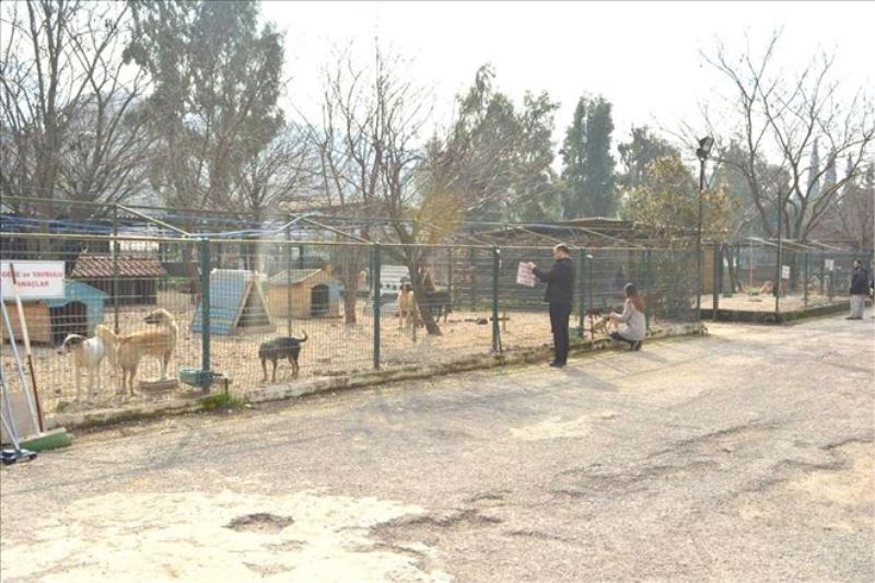 4 ilçede 60 noktaya beslenme odağı
