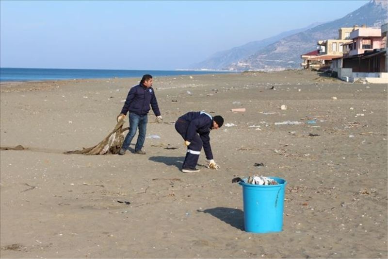 Sahillerde belediye temizliği