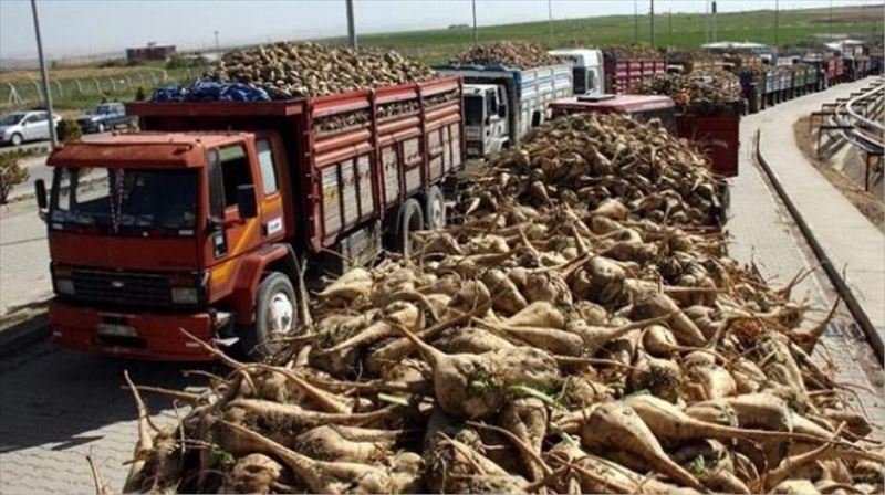 Şeker fabrikası özelleştirmesine eleştiri