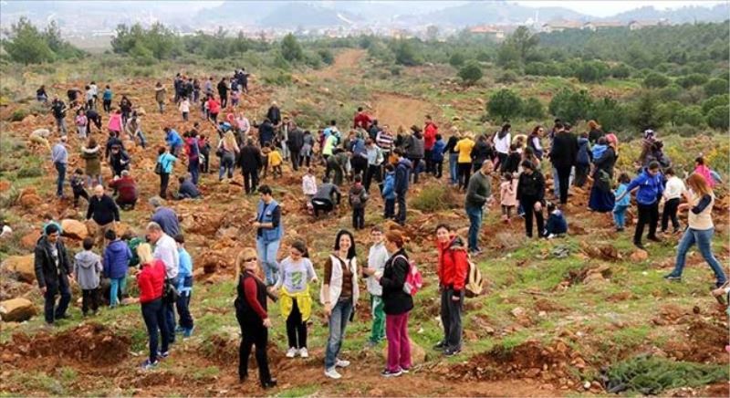 Yanan orman alanına ağaçlandırma çalışması