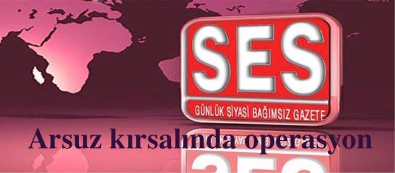 Arsuz kırsalında hava destekli operasyon