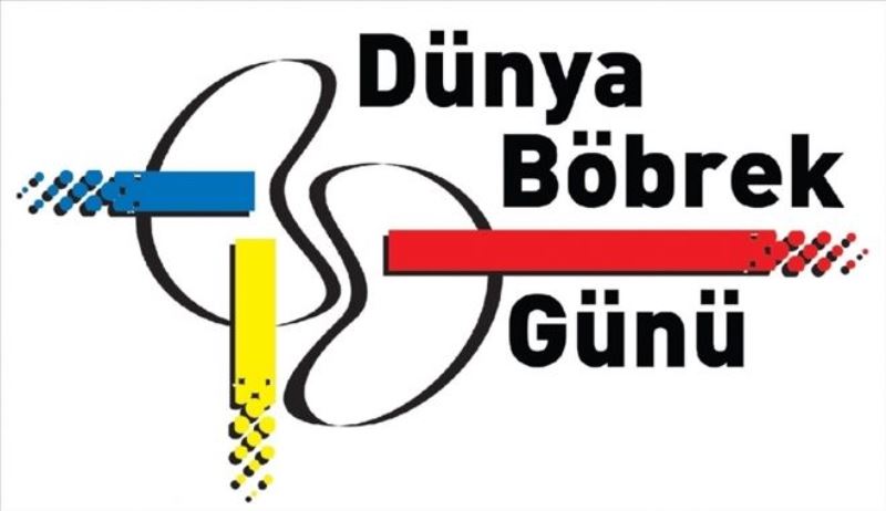 ´Böbrek hastalığı, salgın halk sağlığı sorunu´