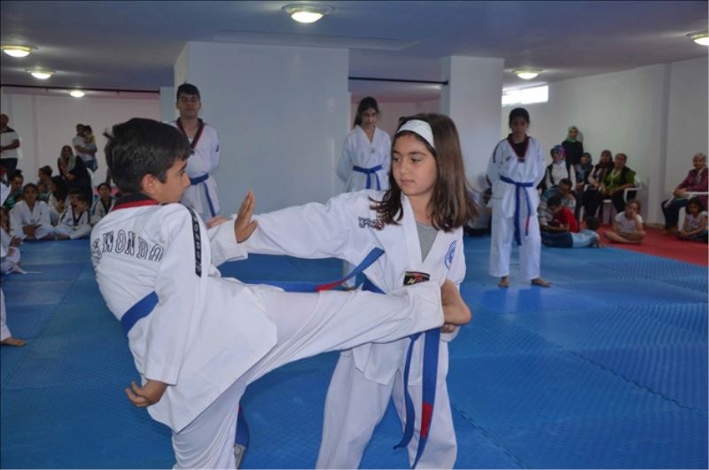 Taekwandocuların terfi sınavı