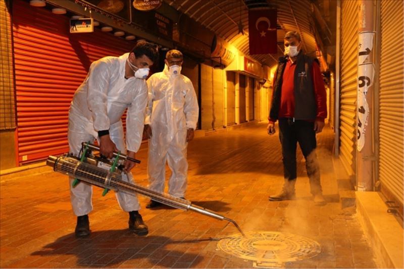 Haşereye karşı üçüncü tur ilaçlama