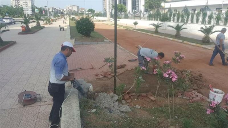 Belediyeden sahilde temizlik