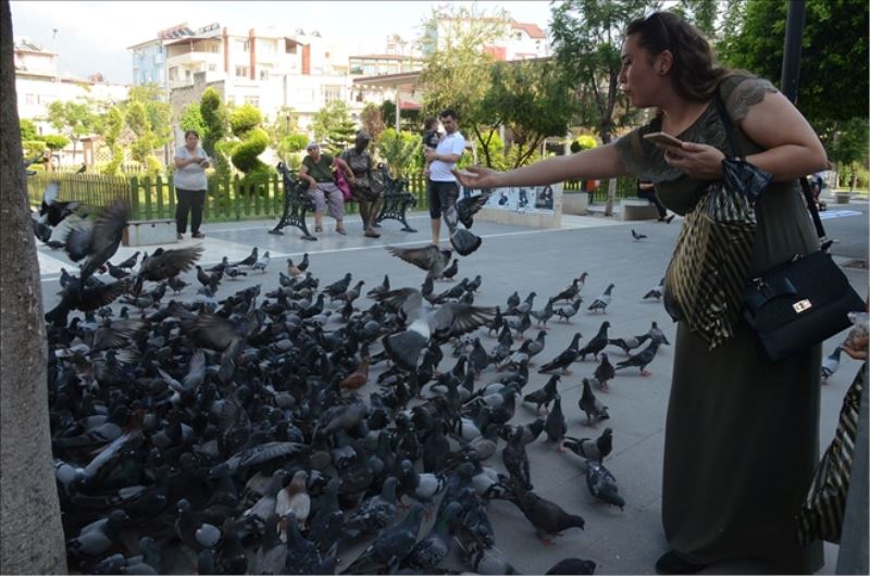 Güvercinler, parkın havasını değiştirdi