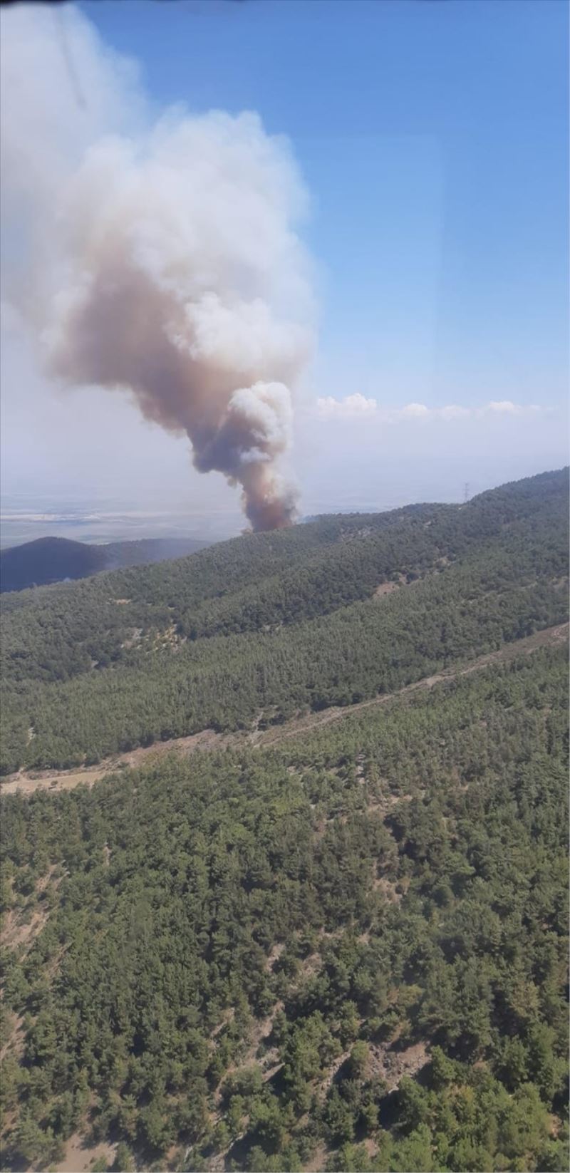 Bakras´ta orman yangını