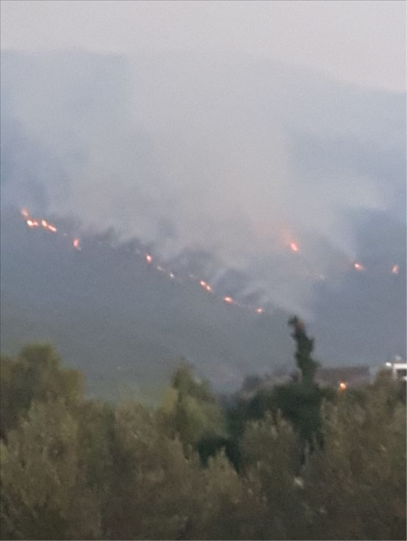 40 hektar etkilendi