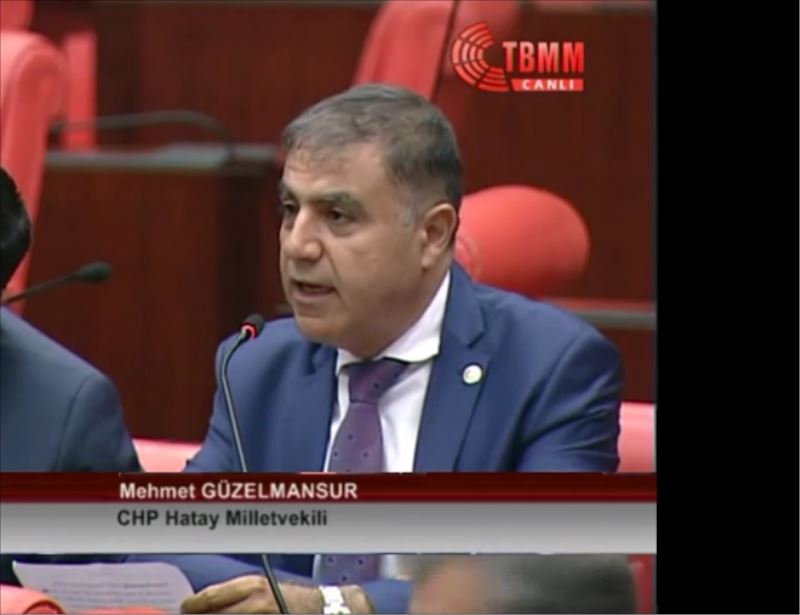 Güzelmansur, Defne´ye hastane istedi