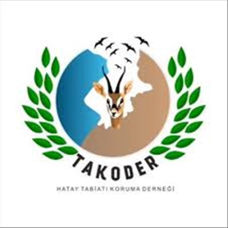 ´41 yarasa türü koruma altında´