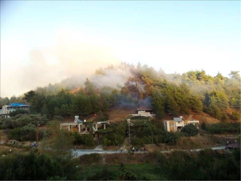 Her gün orman yanıyor