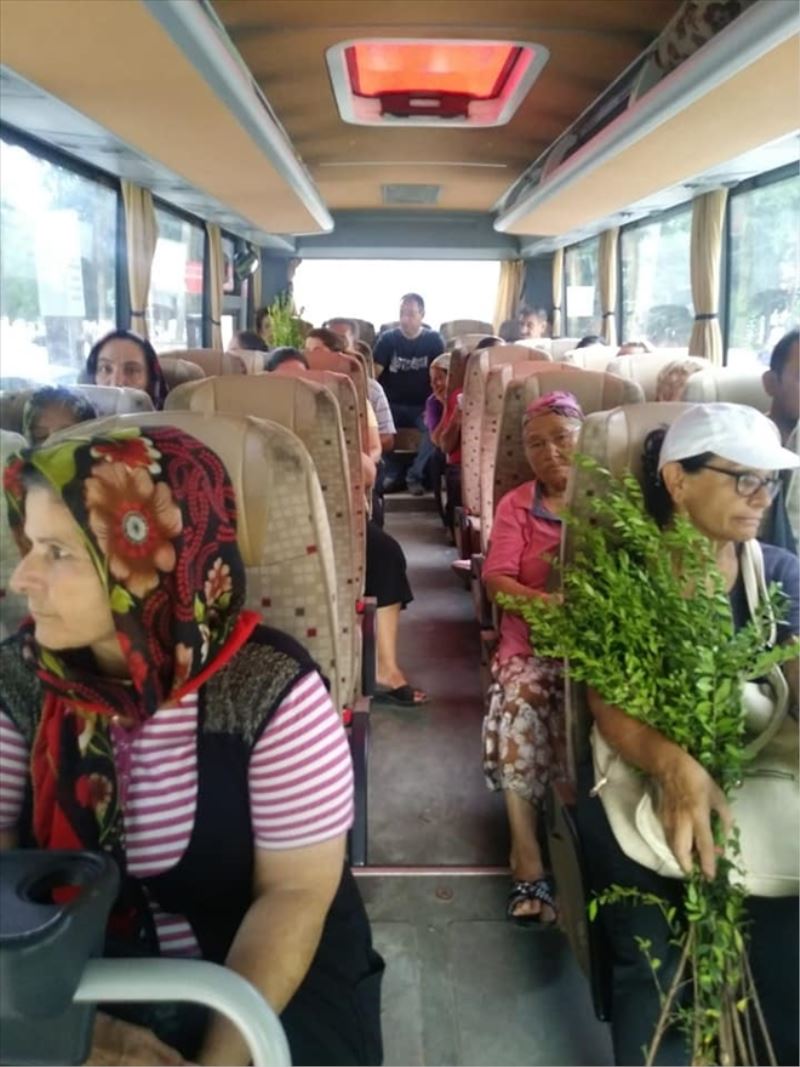 Mezarlıklara ücretsiz servis
