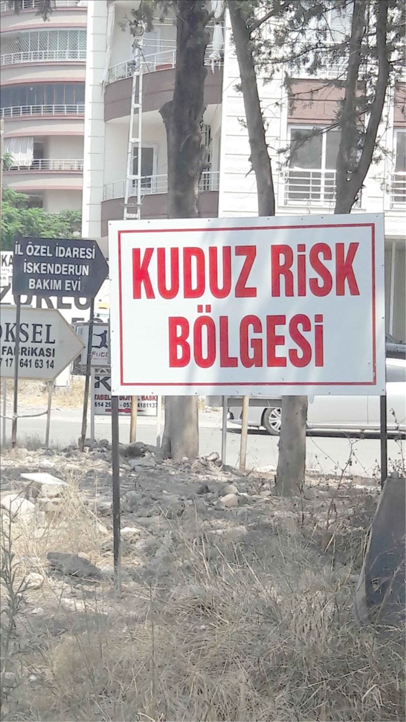 ´Kuduz Risk Bölgesi´ sürüyor