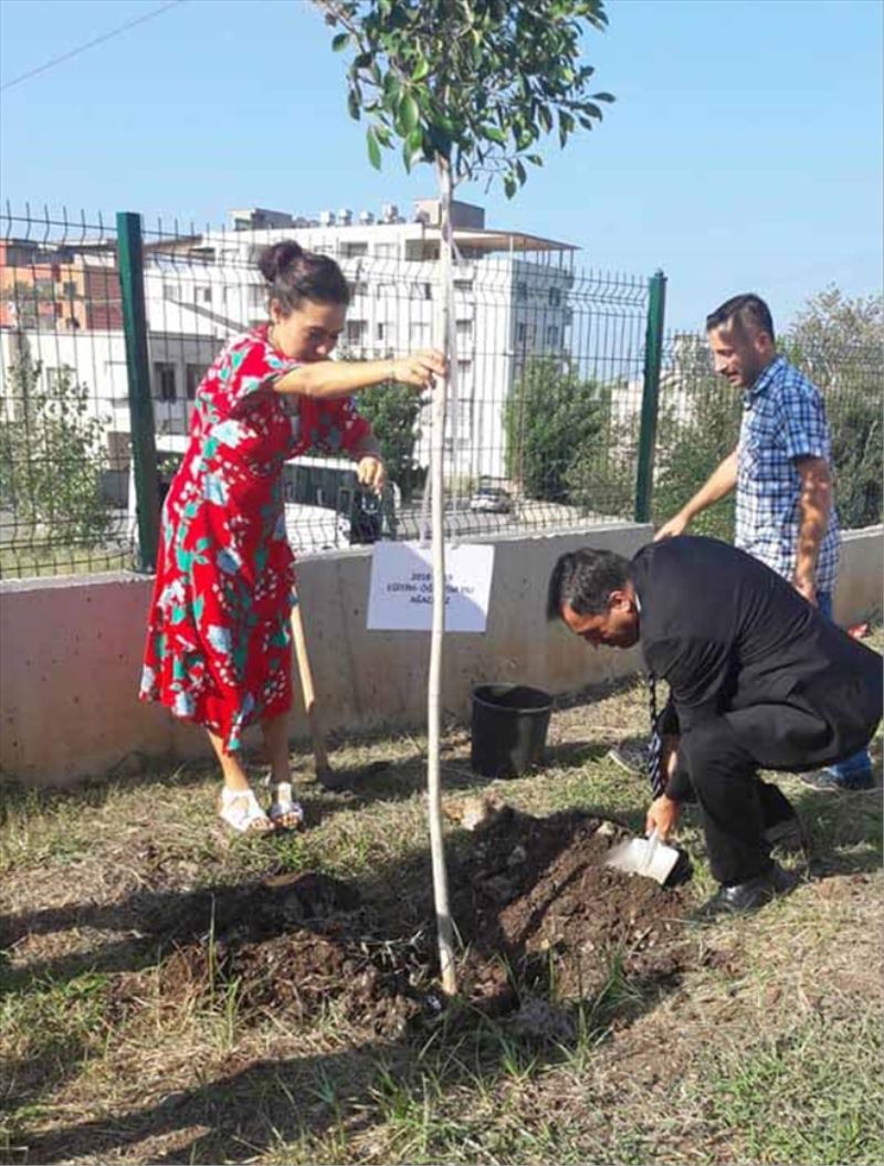Okul bahçesine fidan diktiler
