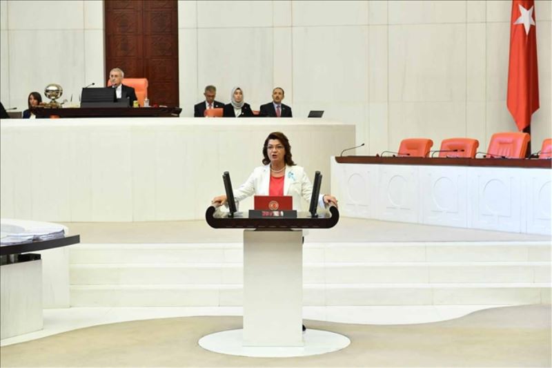 CHP´li Şahin´den ´Cemevi´ önergesi