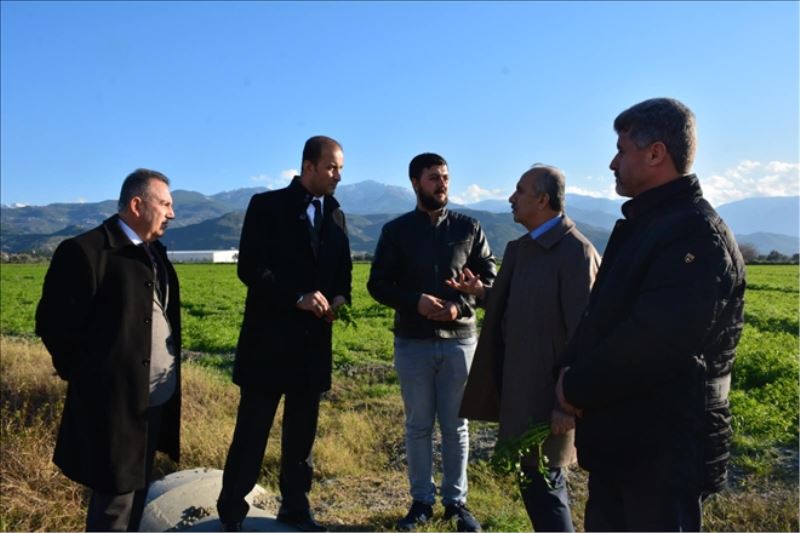 Tarım arazisinde ´dolu incelemesi´